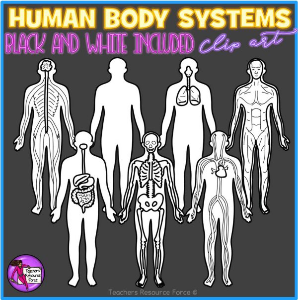 Human Body Systems Science Realistic Clip Art