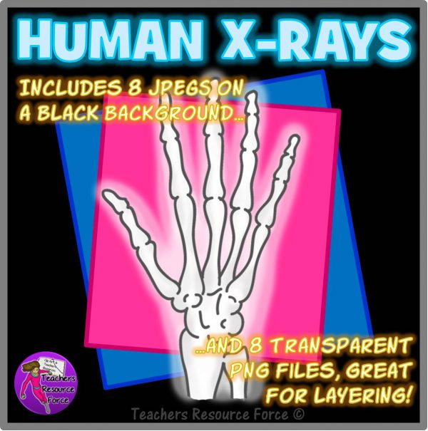 X-Ray Science Realistic Clip Art